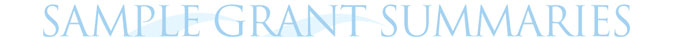 Sample Grant Summaries